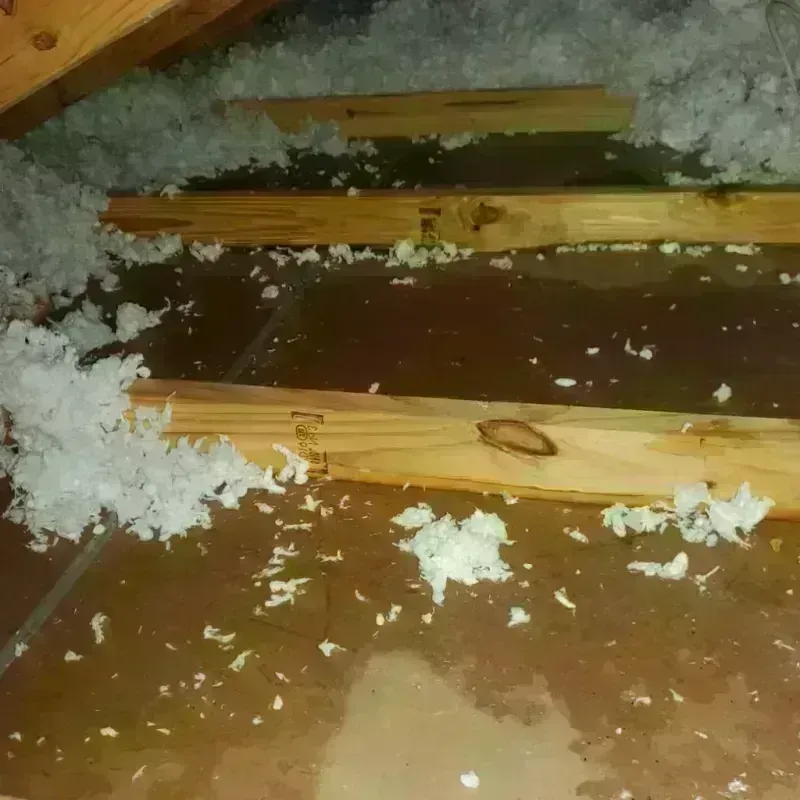 Attic Water Damage in Etowah, TN